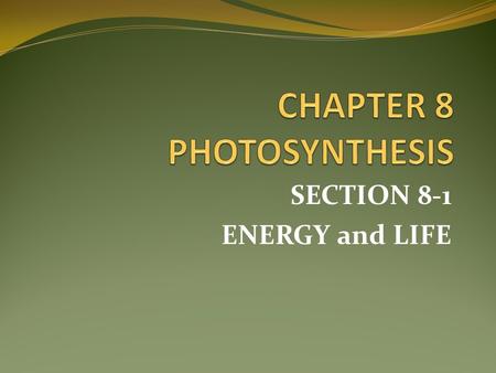 CHAPTER 8 PHOTOSYNTHESIS