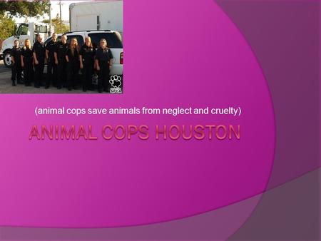 (animal cops save animals from neglect and cruelty)