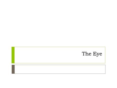 The Eye. Orbit  Functional anatomy and proptosis  Diseases that increase orbital contents displace the eye forward – sarcoidosis, adenoma, glioma, meningioma.