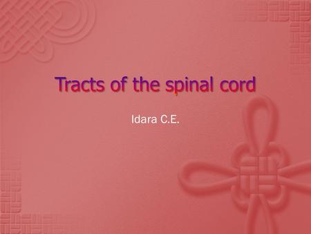 Idara C.E.. Mrs. sauna was rushed to the ER after a motor vehicle accident in which she sustained severe injuries with spinal.