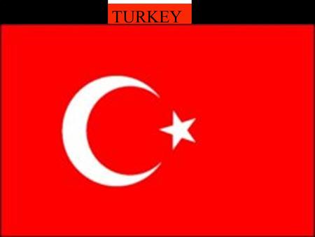 TURKEY. General information Total population - 72,220 Life expectancy - 69 National currency- lira GDP per capital(ppp) us$ - 6772 Area: Total: 780,580.