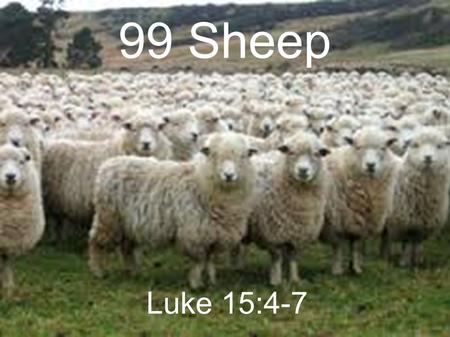 99 Sheep Luke 15:4-7. ● 4 What man of you, having a hundred sheep, if he loses one of them, does not leave the ninety- nine in the wilderness, and go.