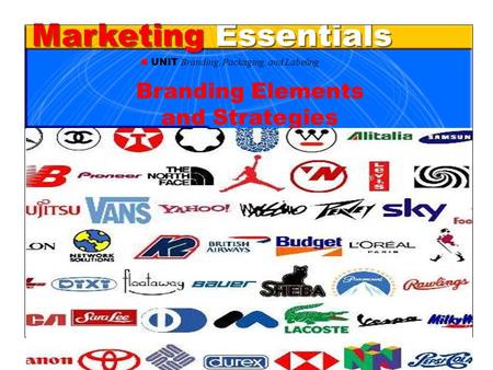 Branding Elements and Strategies