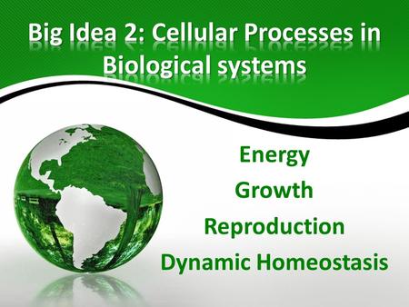 Big Idea 2: Cellular Processes in Biological systems