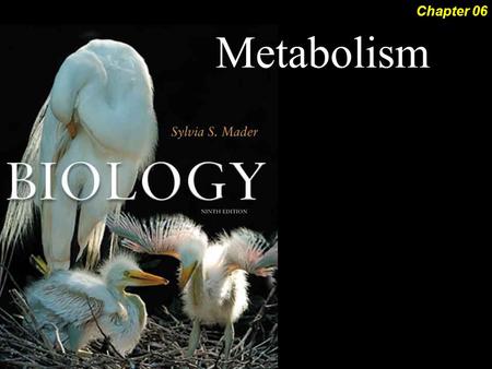 Biology, 9th ed,Sylvia Mader