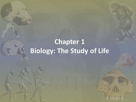 Biology: The Study of Life