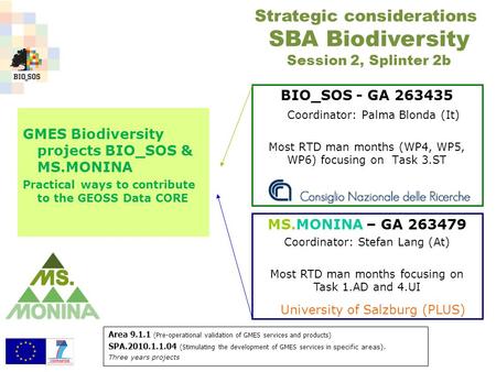 BIO_SOS - GA 263435 Coordinator: Palma Blonda (It) Most RTD man months (WP4, WP5, WP6) focusing on Task 3.ST Strategic considerations SBA Biodiversity.