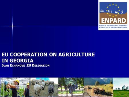 EU COOPERATION ON AGRICULTURE IN GEORGIA J UAN E CHANOVE.EU D ELEGATION.