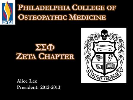 Alice Lee President: 2012-2013. President:Alice Lee Vice President:Shannon McVey Secretary:Emmalynn Sigrist Treasurer:Jessica Andreko Community Service:Kate.