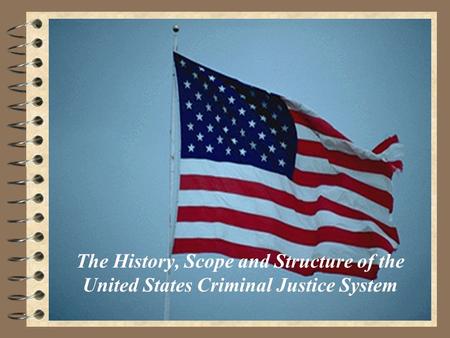 The History, Scope and Structure of the United States Criminal Justice System.