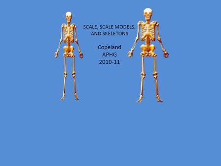 SCALE, SCALE MODELS, AND SKELETONS Copeland APHG 2010-11.