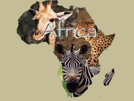 AFRICA. GEOGRAPHY 2 nd largest continent (behind Asia) 3 times larger than the United States Contains a plethora of geographic features & wildlife 2008.