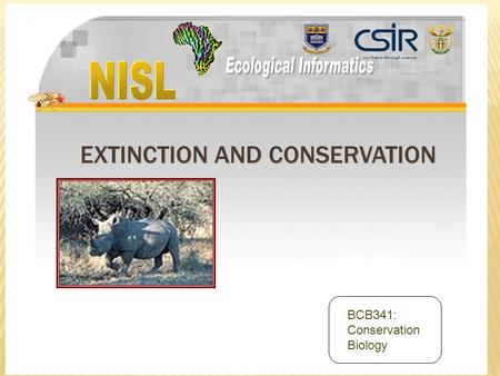 EXTINCTION AND CONSERVATION BCB341: Conservation Biology.