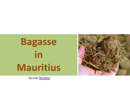 Bagasse in Mauritius Source: NovatorNovator. Sugar Industry in Mauritius Important economic sector 25% of export earnings European Union.