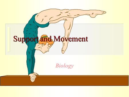 Support and Movement Biology Author list 陳頌詩 黃建新 黃良君 黃秉誠 尹淑賢 5161R Group 2.