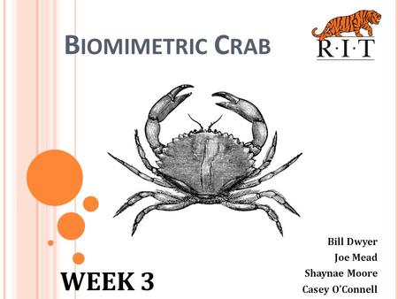 B IOMIMETRIC C RAB Bill Dwyer Joe Mead Shaynae Moore Casey O’Connell WEEK 3.