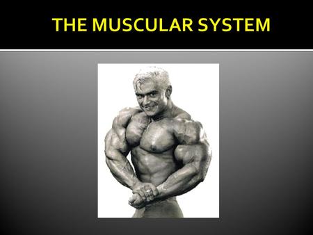 1. Smooth 2. Cardiac 3. Skeletal 1. 2. 3. SSkeletal muscle forms all of the red meat around your body. TThey are what gives your body shape. OOver.