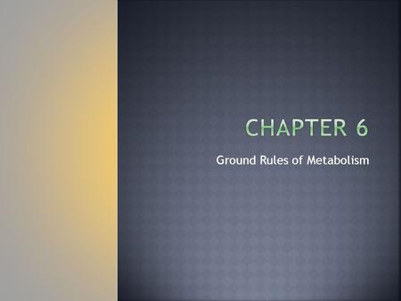 Ground Rules of Metabolism.  Catalase is an enzyme that helps the body break down toxic substances in alcoholic drinks.