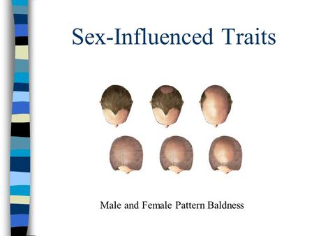 Sex-Influenced Traits