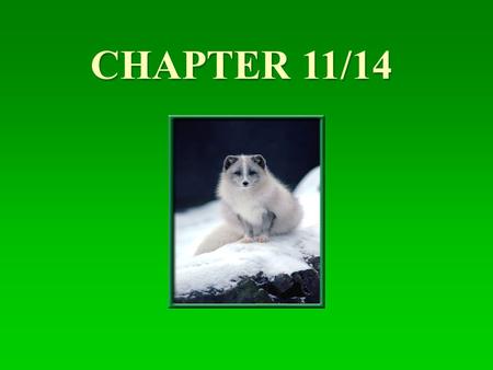 CHAPTER 11/14 I.Mendel A. Gregor Mendel 1. Austrian monk-carried out impt studies of heredity (passing on chars. from parents to offspring) 1. Austrian.