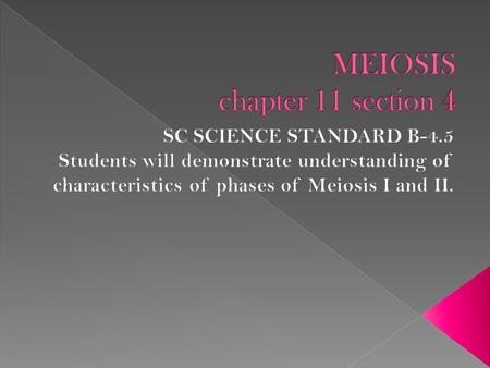 MEIOSIS chapter 11 section 4