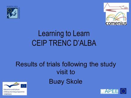 Learning to Learn CEIP TRENC D’ALBA Results of trials following the study visit to Buøy Skole.