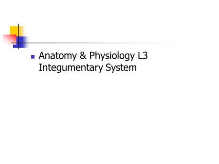 Anatomy & Physiology L3 Integumentary System Integumentary System I. Overview: General structure: composed of epidermis and a dermis, separated by a.