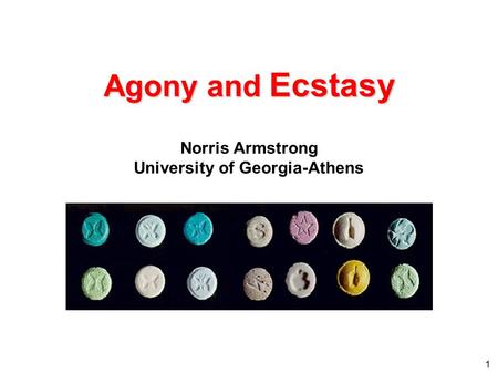 1 Agony and Ecstasy Norris Armstrong University of Georgia-Athens.