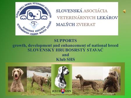 SUPPORTS growth, development and enhancement of national breed SLOVENSKÝ HRUBOSRSTÝ STAVAĆ and Klub SHS.