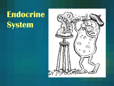 Endocrine System.