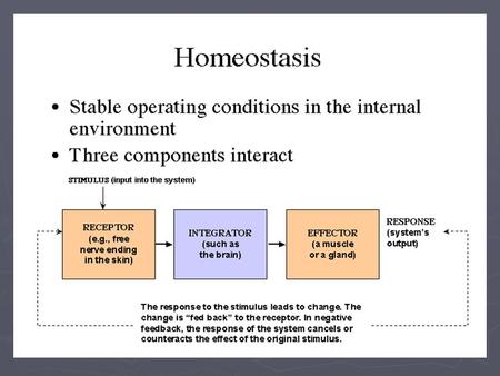 Communication by hormones in mammals key facts ► Hormones - peptides, proteins, steroids – small molecules = first messenger ► Endocrine gland – secretes.