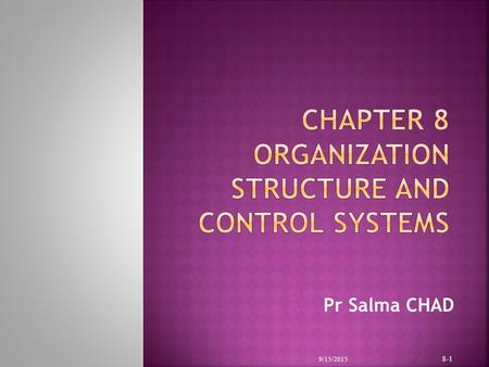 Chapter 8 Organization Structure and Control Systems