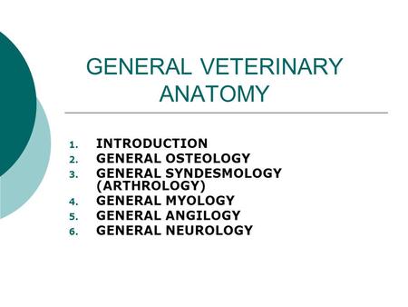 GENERAL VETERINARY ANATOMY