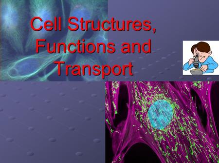 Cell Structures, Functions and Transport