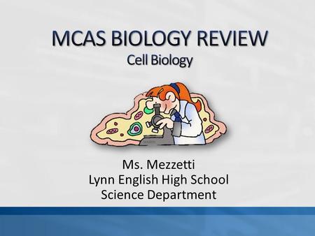 Ms. Mezzetti Lynn English High School Science Department.