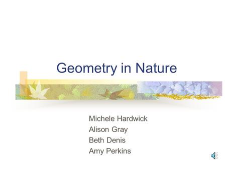 Geometry in Nature Michele Hardwick Alison Gray Beth Denis Amy Perkins.