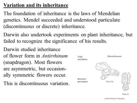 Variation and its inheritance The foundation of inheritance is the laws of Mendelian genetics. Mendel succeeded and understood particulate (discontinuous.