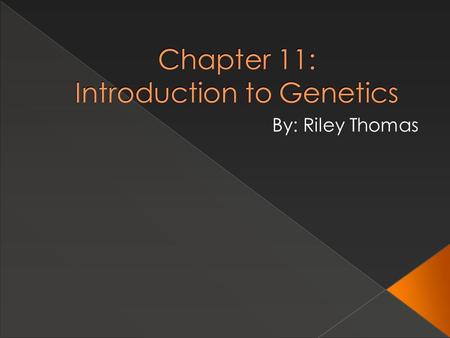 Chapter 11: Introduction to Genetics