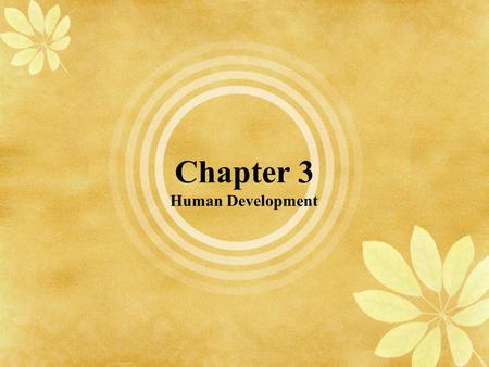 Chapter 3 Human Development. Prenatal Development Occurs in Three Stages Zygote stage (lasts two weeks): Embryonic stage (lasts from week 3 to week 8)