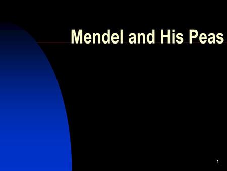 1 Mendel and His Peas. 2 Objectives Explain the difference between cross and self pollination Explain the relationship between traits and heredity Describe.