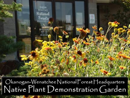 Okanogan-Wenatchee National Forest Headquarters Native Plant Demonstration Garden Okanogan-Wenatchee National Forest Headquarters Native Plant Demonstration.