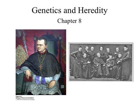 Genetics and Heredity Chapter 8. Mendel Studied 7 Characters in the Garden Pea (Pisum sativum) Flower color. Flower position. Seed color. Seed shape.