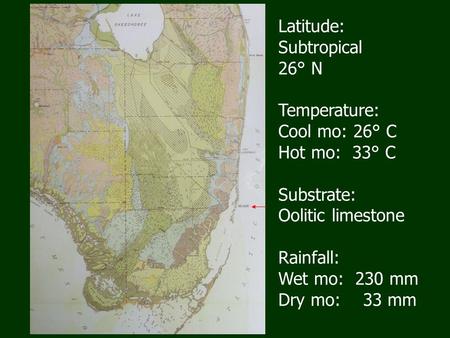 Latitude: Subtropical 26° N Temperature: Cool mo: 26° C Hot mo: 33° C Substrate: Oolitic limestone Rainfall: Wet mo: 230 mm Dry mo: 33 mm.