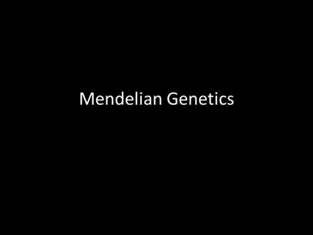 Mendelian Genetics. Gregor Mendel (1822-1884) Responsible for the laws governing Inheritance of Traits.