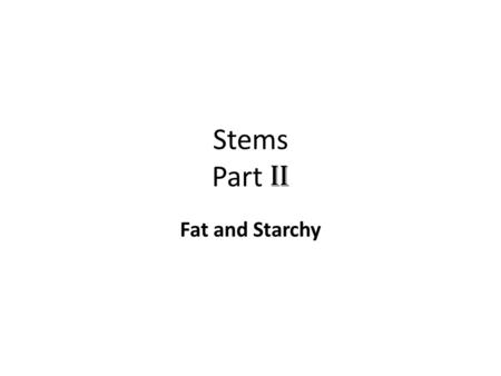 Stems Part II Fat and Starchy. Types of underground stems Can you think of something that you would call an underground stem besides bulbs?