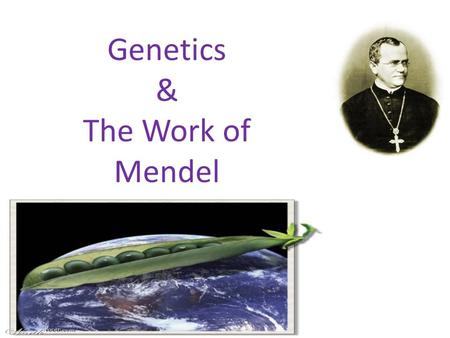 Genetics & The Work of Mendel Genetic Terminology Trait - any characteristic that can be passed from parent to offspring Heredity - passing of traits.