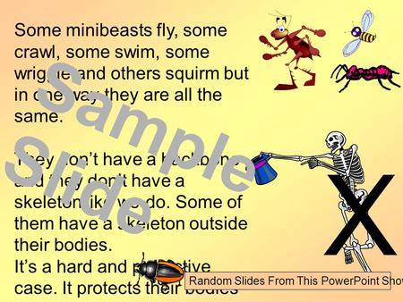 Some minibeasts fly, some crawl, some swim, some wriggle and others squirm but in one way they are all the same. They don’t have a backbone and they don’t.