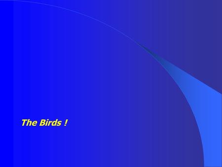 The Birds !. The coming of the cold season in the Indian sub continent brings with it bird migration – a journey that touches us all as millions of winged.