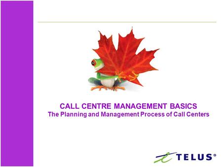 CALL CENTRE MANAGEMENT BASICS