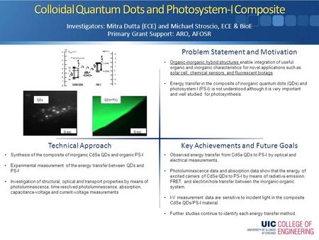 Problem Statement and Motivation Key Achievements and Future Goals Technical Approach Investigators: Mitra Dutta (ECE) and Michael Stroscio, ECE & BioE.